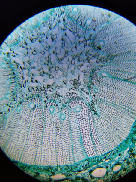 宝视德bresser切片器怎么用啊？