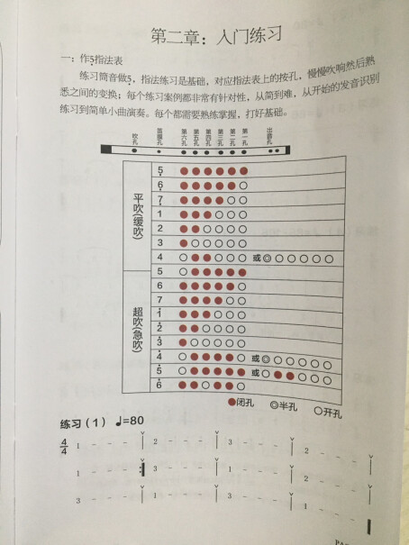 云雅黑色古风笛F调请问儿童初学买什么调的？