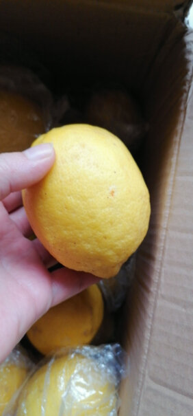 uncle lemon柠檬叔叔柠檬 安岳新鲜黄柠檬水果选购哪种好？使用感受！