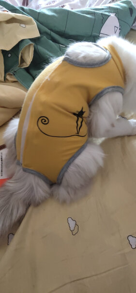 宠物鞋服神经猫猫咪绝育服手术服母猫断奶生理服防舔防咬宠物用品测评大揭秘,使用感受大揭秘！