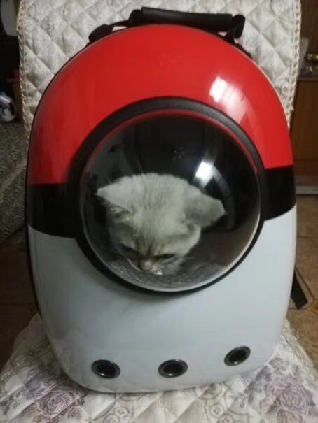 航空箱-便携包维利亚猫包宠物包外出便携透气猫咪双肩背包太空舱值得买吗？评测数据如何？