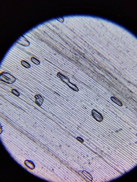 宝视德bresser怎么说是1600倍？