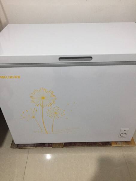 美菱MELING208升家用商用冰柜放花店里，这个冰箱可以放鲜花吗？