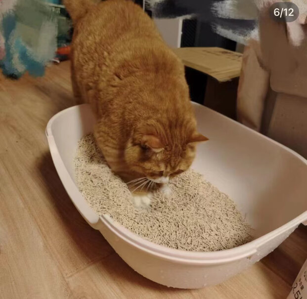 宠乐乖猫砂豆腐除臭吸水植物混合猫砂2.5kg评测质量怎么样？评测不看后悔！