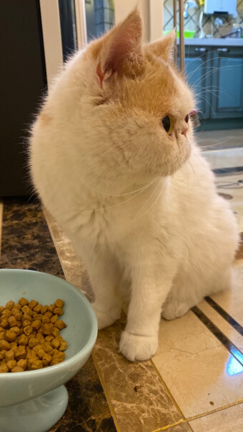 ROYALCANIN大家的猫吃了这个粮有便秘的情况吗。我家的猫从小不便秘，自从换了这个粮拉的都是一个豆一个豆的，