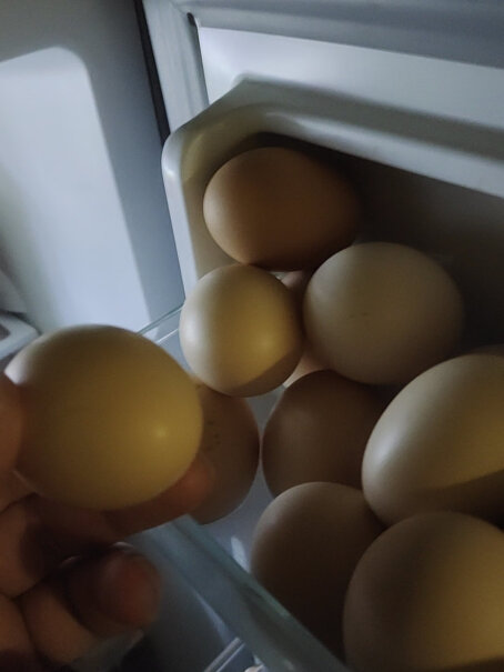 堆草堆6枚装鲜鸡蛋我领了卷怎么用不了，还不支持发货，是骗人的吗？