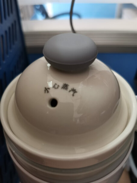 养生壶冠为养生壶电热水杯评测质量好不好,质量不好吗？