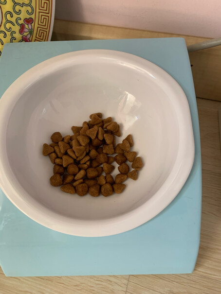 ROYALCANIN我的猫才五个月大，能吃这个粮吗？