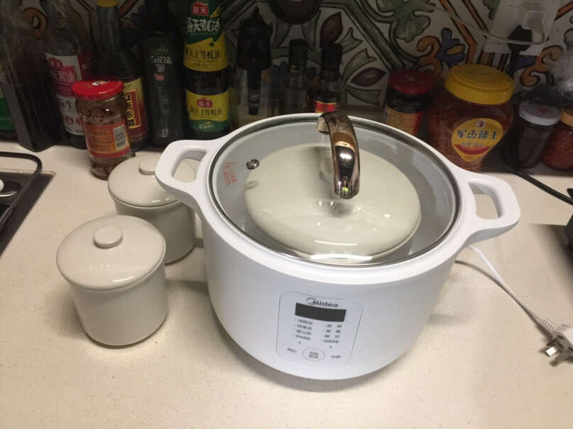 美的电炖锅电炖盅你们前几次煮会有白色沫吗？