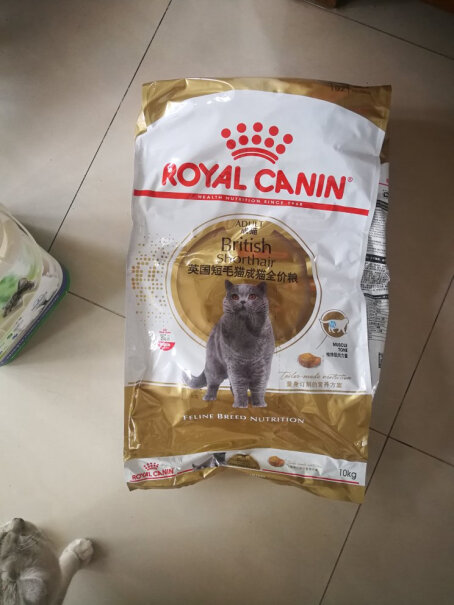 ROYALCANIN我家是豹猫问可不可以吃英短猫粮？