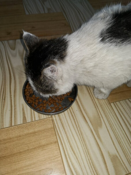 好主人猫粮室内天然粮5斤猫咪吃了会有口臭吗？