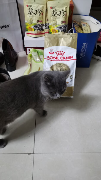 ROYALCANIN猫咪吃了眼屎多不多，上火吗？