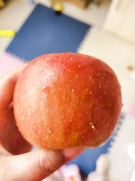 苹果阿克苏苹果9斤装真实测评质量优劣！分析哪款更适合你？