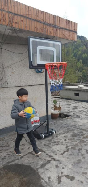 篮球架篮球架户外成人儿童室内家用升降便携式青少年简易篮球框哪款性价比更好,告诉你哪款性价比高？