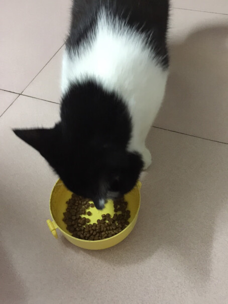 伟嘉幼猫猫粮1.2kg吞拿鱼味布偶蓝猫橘猫加菲英短猫咪全价粮吃完拉屎臭吗？