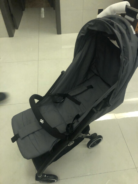 好孩子婴儿推车宝宝车婴儿伞车8个月宝宝买这款好，还是只能坐的那种，目前已经能独立坐稳？