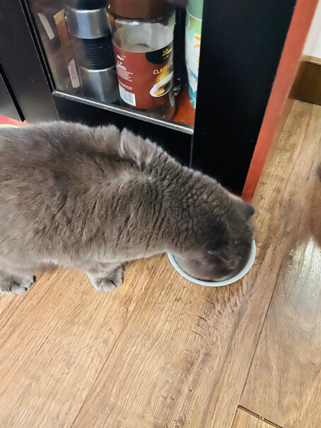 猫零食希宝宠物猫粮猫湿粮泰国进口猫罐头吞拿鱼海鲜汤汁系列85g3分钟告诉你到底有没有必要买！优缺点质量分析参考！