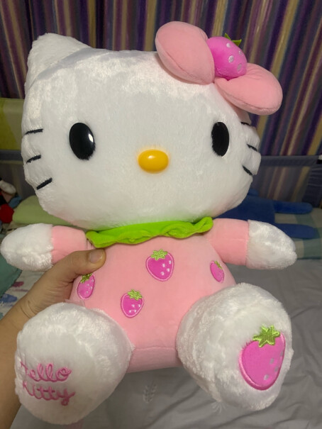 动物玩偶公仔HelloKitty凯蒂猫冰箱评测质量怎么样！值得买吗？