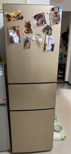 海信205升三门冰箱三门三温区中门软冷冻小型家用冷藏冷冻你们都是金色么？为啥我收到的是灰色？