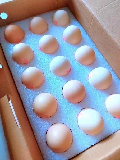 圣迪乐村 新鲜鸡蛋 30枚礼盒装评测结果好吗？用户评测真实曝光？