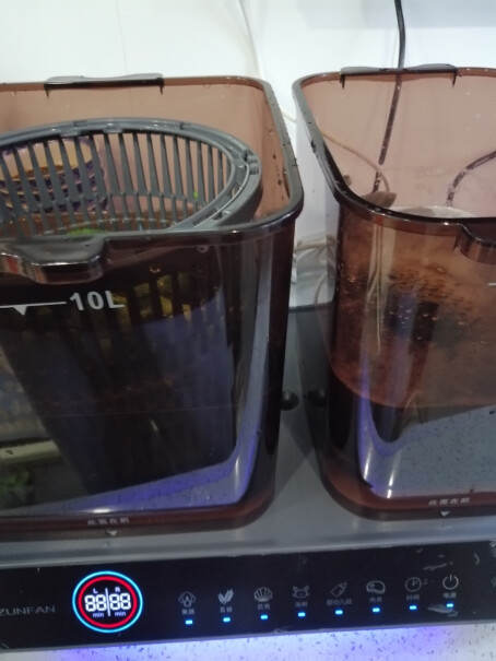 德国洗菜机家用多功能全自动杀菌去农残果蔬清洗机食材净化机这个是两个桶可以同时工作的吗？