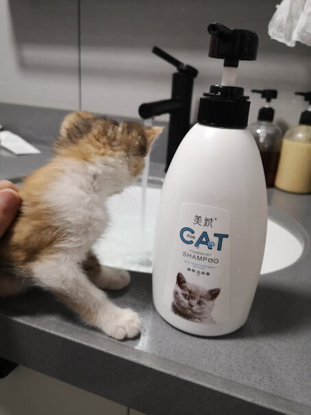 美城宠物猫咪沐浴露小猫咪沐浴液幼猫洗澡液宠物香波600ML土狗可以用么？