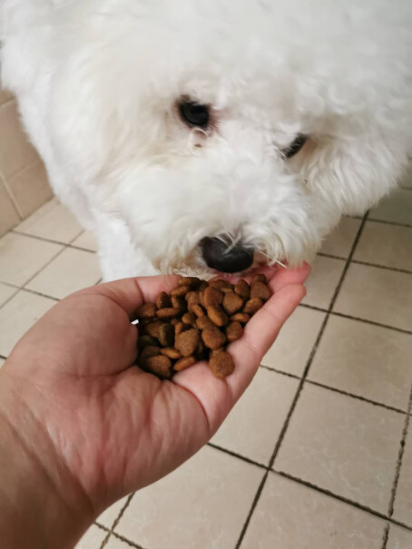 麦富迪宠物狗粮我家狗狗也不太喜欢吃，怎么让它吃呢？这么大包呢？