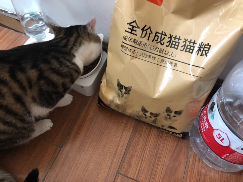 好主人猫粮室内天然粮5斤吃该猫粮，猫咪排尿困难？