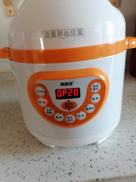 电压力锅洛贝LBA-2EPM03阿迪锅高压锅好用吗？怎么样？