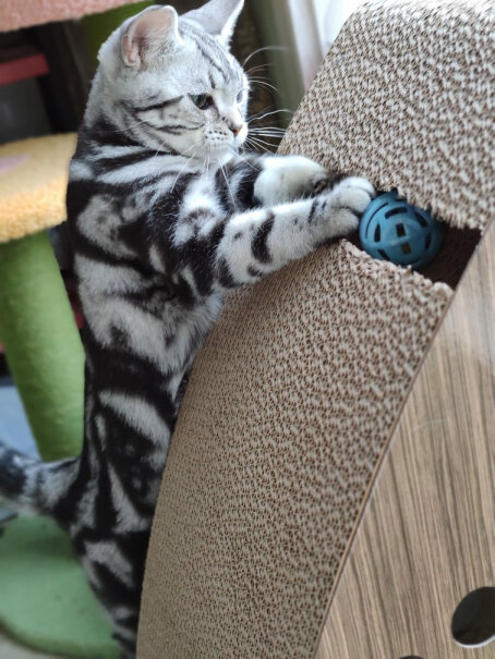 猫抓板伊丽猫咪立式猫抓板磨爪器猫抓柱防抓沙发瓦楞纸耐磨猫咪用品怎么样？哪个更合适？