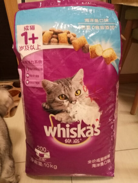 伟嘉幼猫猫粮1.2kg吞拿鱼味布偶蓝猫橘猫加菲英短猫咪全价粮英短可以吃吗？