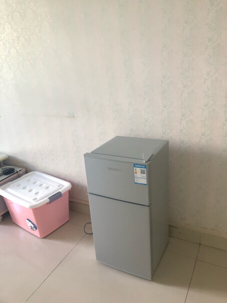 韩国现代迷你冰箱小冰箱小型电冰箱双门家用宿舍冷冻冷藏节能可以放冰激凌吗？