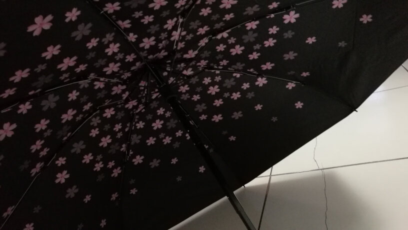 C'mon小樱花伞傘大嗎，大雨一個人可不可以遮住書包？