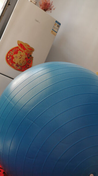 瑜伽球李宁瑜伽球65cm加厚防滑健身球到底要怎么选择,评测哪款值得买？