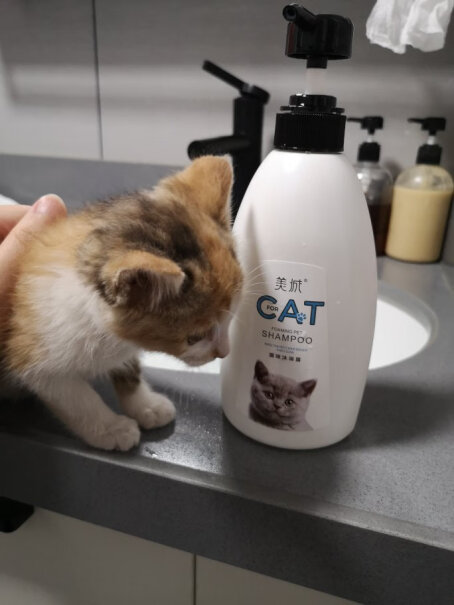 美城宠物猫咪沐浴露小猫咪沐浴液幼猫洗澡液宠物香波600ML土狗可以用么？