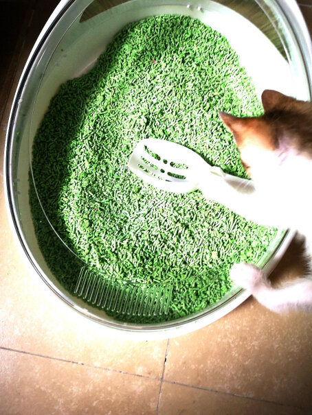 华畜猫砂盆全封闭式防外溅猫厕所猫砂盆特大号封闭式猫沙盆自动17斤的猫可以用吗？
