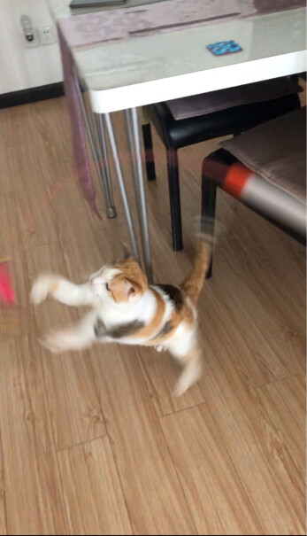 猫玩具憨憨乐园逗猫棒剑麻球带铃铛款功能真的不好吗,大家真实看法解读？