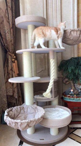 猫爬架兽牌猫爬架大型猫架猫窝一体功能评测结果,可以入手吗？