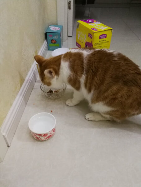 麦富迪猫湿粮包拌饭营养猫零食你们的猫吃了有吐的现象吗？我家猫吃了两包，吐了两次？