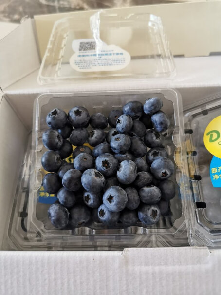 怡颗莓蓝莓Driscoll评测哪一款功能更强大,可以入手吗？