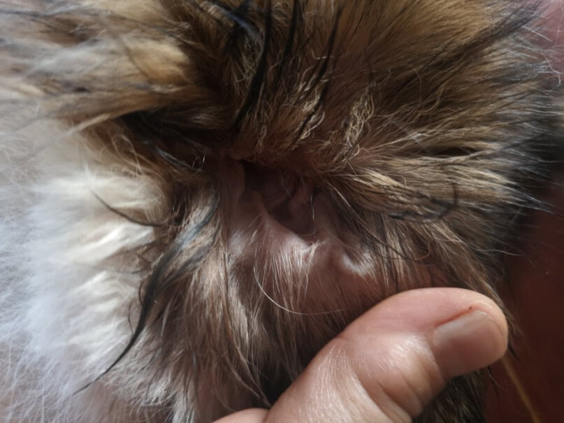 U洁过硫酸氢钾复合盐消毒粉5g*12袋-百花香型我狗狗在用爪子掏耳朵，耳朵里面看上去是干净的，还需要用这个吗？
