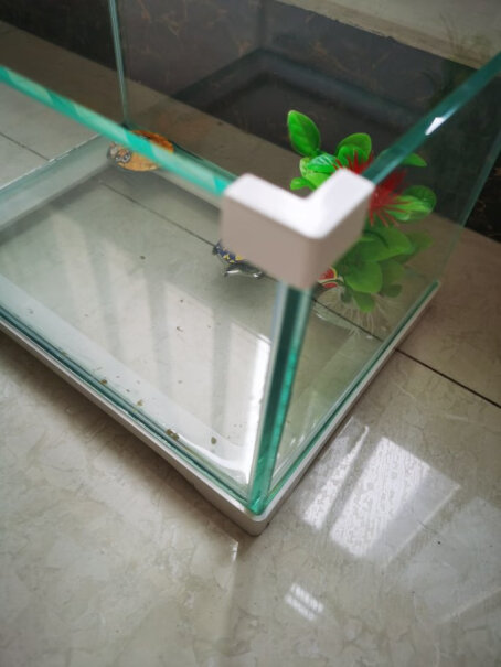 爬宠用品森森乌龟缸带晒台龟缸乌龟别墅生态养龟的专用缸家用鱼缸玻璃缸来看看买家说法,好不好？