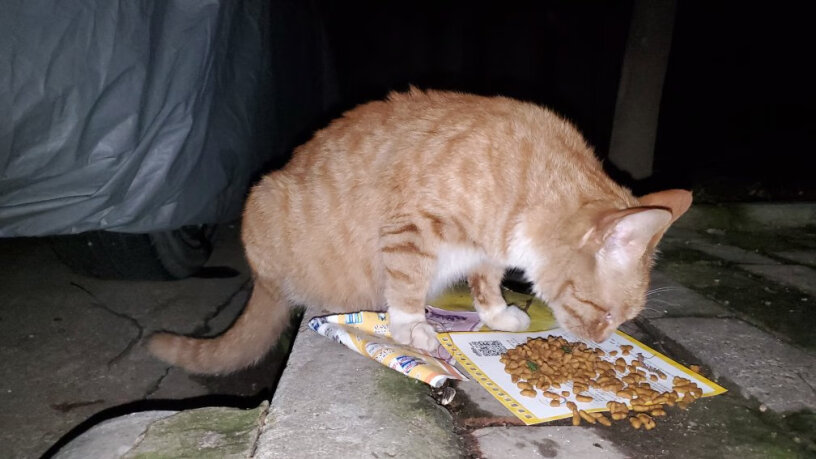 亿迪冻干猫粮天然猫粮3斤成猫幼猫通用型宠物粮自营1.5kg两块多一斤的猫粮能好吃么，家里的猫爱吃么？