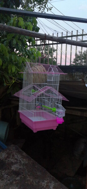 鸟类用品朗缤小鸟笼子大号豪华别墅小型通用屋型鸟笼对比哪款性价比更高,优劣分析评测结果！