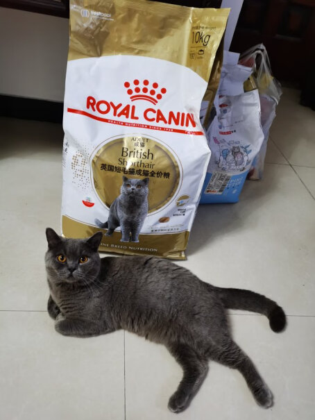 猫干粮ROYALCANIN评测报告来了！优缺点质量分析参考！