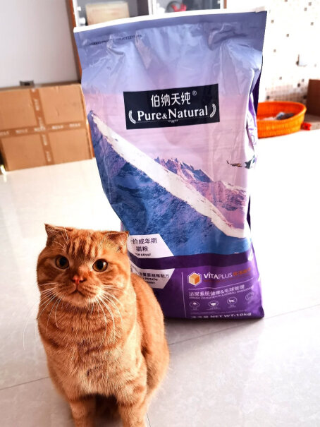 猫干粮伯纳天纯Pure&Natural宠物猫粮评测哪一款功能更强大,测评大揭秘？