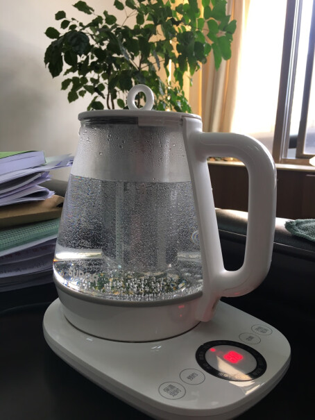 苏泊尔养生壶煮茶器这个可以煮小青柑吗？