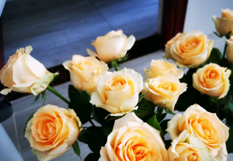 简势鲜切花品质玫瑰花生日礼物女分享一下使用心得？买前必知的评测报告！