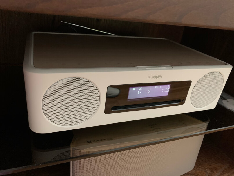 雅马哈TSX-B237音响音箱可以播放黑胶CD吗？