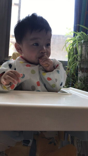 英氏婴幼儿辅食磨牙棒原味分享怎么样？一定要了解的评测情况！